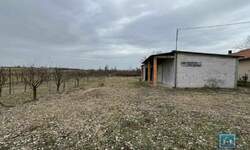 Kuca, Jagodina, Majur, prodaja, 80m2, 25000e, id1127952