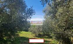 Kuca, Budva, prodaja, 303m2, 1600000e, id1219250