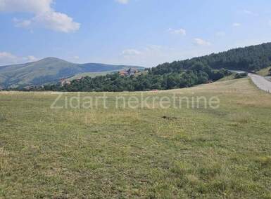 Plac, Zlatibor, Zlatibor, prodaja, 7792m2, 800000e, id1229835