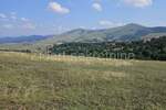 Plac, Zlatibor, Zlatibor, prodaja, 7792m2, 800000e, id1229835