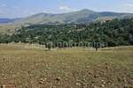 Plac, Zlatibor, Zlatibor, prodaja, 7792m2, 800000e, id1229835