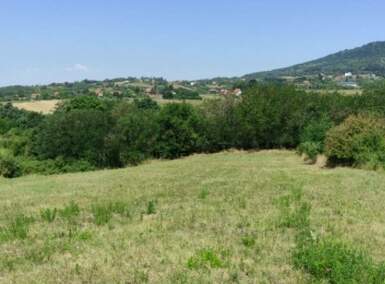 Plac, Beograd, Ripanj, prodaja, 3100m2, 24800e, id796314