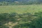 Plac, Beograd, Beljina, prodaja, 9087m2, 56000e, id1234960