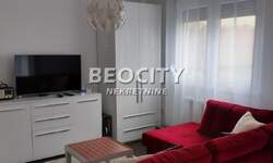 Jednosoban stan, Beograd, Vračar (centar), izdavanje, 30m2, 550e, id1247252