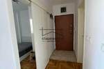 Jednoiposoban stan, Novi Sad, Detelinara, izdavanje, 31m2, 350e, id1227581