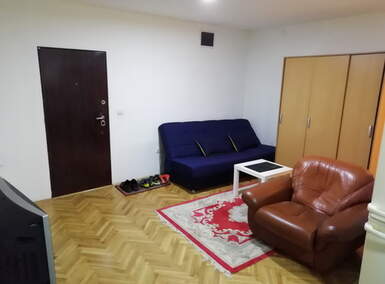 Jednosoban stan, Beograd, Banovo Brdo, izdavanje, 30m2, 350e, id949416