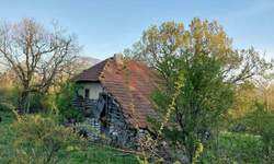 Kuca, Boljevac, Jablanica, prodaja, 27m2, 10000e, id1087091