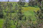 Plac, Zlatibor, Vodice, prodaja, 1143m2, 57000e, id1254128