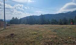 Plac, Zlatibor, prodaja, 389m2, 31500e, id1254821