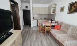 Jednosoban stan, Jagodina, izdavanje, 32m2, 250e, id1258832