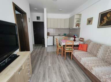 Jednosoban stan, Jagodina, izdavanje, 32m2, 250e, id1258832