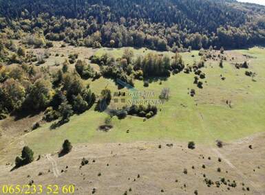 Plac, Zlatibor, prodaja, 0m2, 530000e, id1261818