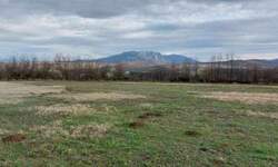 Plac, Boljevac, Vrbovac, prodaja, 0m2, 3760e, id1152959