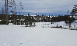 Plac, Zlatibor, Vodice, prodaja, 1400m2, 100000e, id1266097