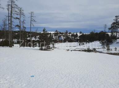 Plac, Zlatibor, Vodice, prodaja, 1400m2, 100000e, id1266097