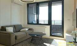 Dvosoban stan, Beograd, Blok 67a, izdavanje, 40m2, 950e, id1255915