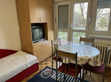 Garsonjera, Beograd, Darvinova pošta, izdavanje, 20m2, 330e, id1261892