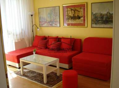 Jednosoban stan, Novi Sad, Detelinara, izdavanje, 28m2, 300e, id1227582