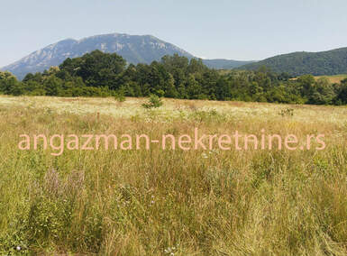 Plac, Boljevac, Krivi Vir, prodaja, 0m2, 16900e, id794764