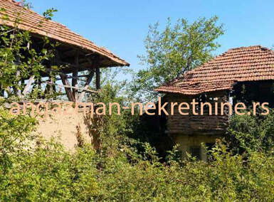 Plac, Boljevac, Osnić, prodaja, 0m2, 5200e, id867203