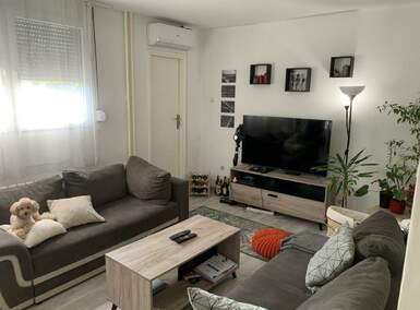 Dvosoban stan, Beograd, Banovo Brdo, izdavanje, 60m2, 600e, id887617