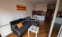 Jednosoban stan, Novi Sad, Nova Detelinara, izdavanje, 24m2, 300e, id1303283