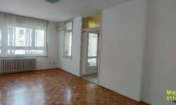 Trosoban stan, Beograd, Novi Merkator, izdavanje, 75m2, 650e, id1310529