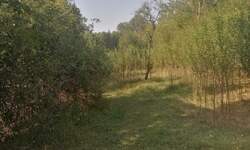 Plac, Beograd, Ralja, prodaja, 0m2, 65000e, id1278184