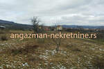 Kuca, Beograd, Zuce, prodaja, 307m2, 390000e, id891553