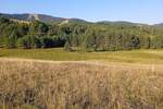 Plac, Zlatibor, prodaja, 9825m2, 5000e, id1331233