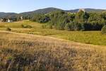 Plac, Zlatibor, prodaja, 9825m2, 5000e, id1331233