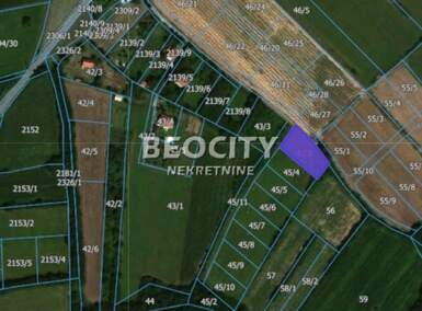 Plac, Beograd, Kosmaj, prodaja, 1200m2, 60000e, id1336715