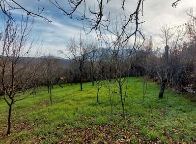 Stan, Boljevac, Jablanica, prodaja, 0m2, 10500e, id1288636