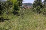 Plac, Beograd, Sopot, prodaja, 5000m2, 35000e, id1340567