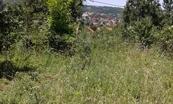 Plac, Beograd, Sopot, prodaja, 5000m2, 35000e, id1340567