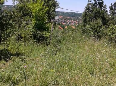 Plac, Beograd, Sopot, prodaja, 5000m2, 35000e, id1340567