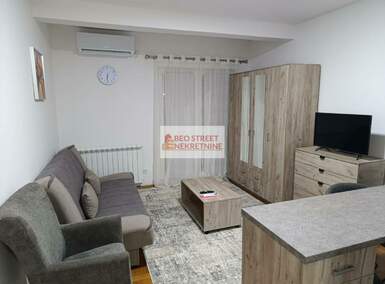 Jednosoban stan, Beograd, Krnjača, izdavanje, 24m2, 300e, id1341208