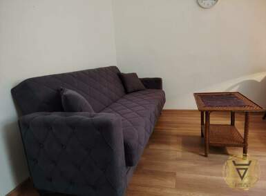 Jednosoban stan, Beograd, Slavija, izdavanje, 20m2, 350e, id1341817