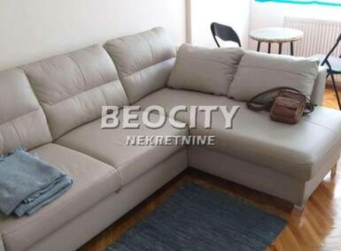 Jednosoban stan, Novi Sad, Detelinara, izdavanje, 30m2, 300e, id1370026