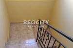 Kuca, Novi Sad, Telep, izdavanje, 250m2, 1300e, id1373364